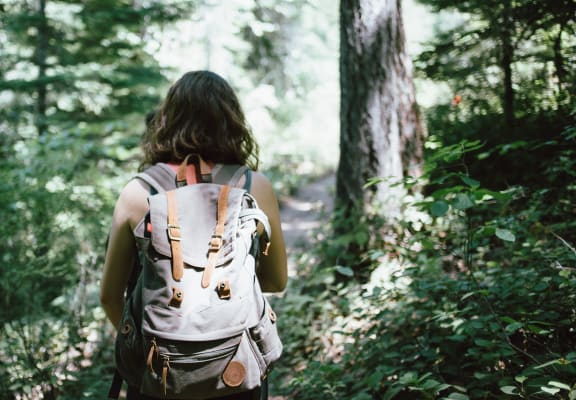 Woman with Backpack Hiking Through Woods