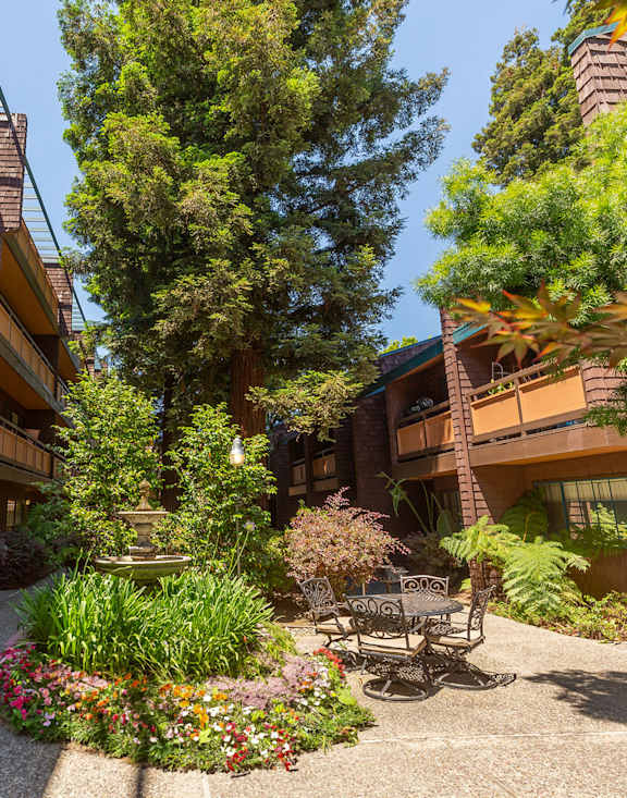 a tree in the middle of a courtyard between two buildings