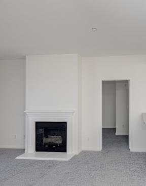 A living room with a fireplace and a kitchen area in the background.
