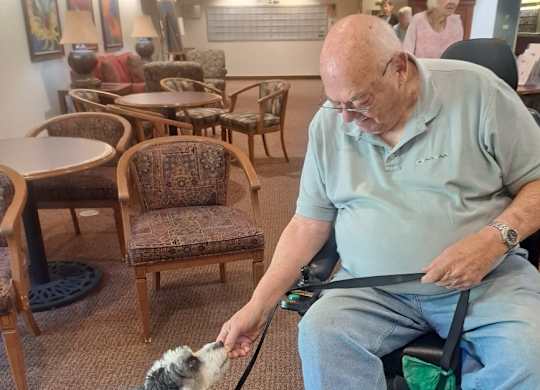 Therapy dog visiting with resident in community room at Hilltop Commons Senior Living Apartments, Grass Valley, CA 95945