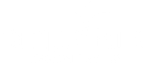 the logo for camelopardalis 10th anniversary logo with a palm tree