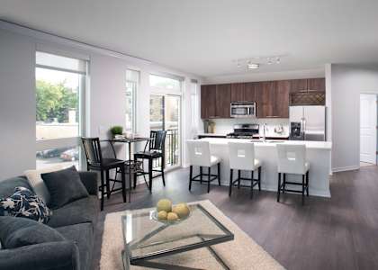 Living and kitchen at Central Station, Evanston, IL