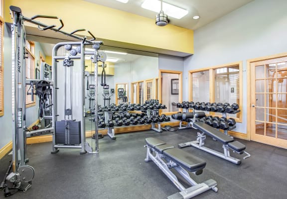 Fitness Center With Updated Equipment at Williams Reserve, Palatine, IL