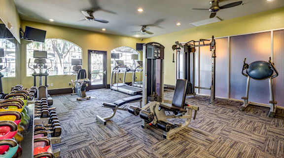 Cardio athletic centers with free weights