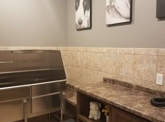 A kitchen with a stainless steel dishwasher and two framed pictures of dogs on the wall.