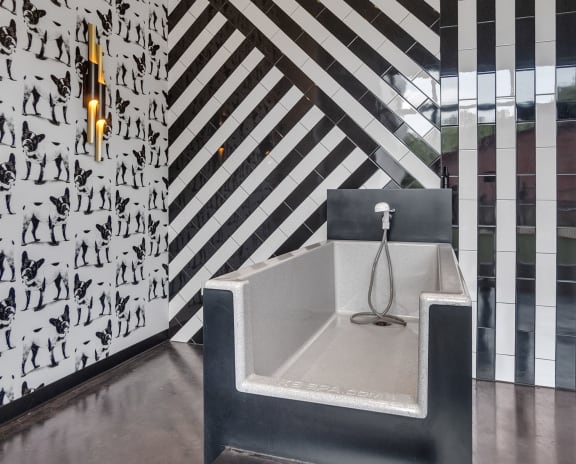 a seating area in a lobby with a black and white wall and a bench at South and Hollis, North Carolina