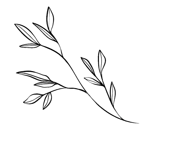 Leaf branch graphic on a white background.