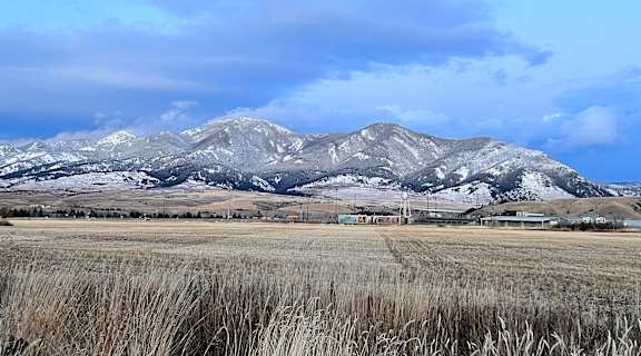 wheat field with mountains in the background snow capped