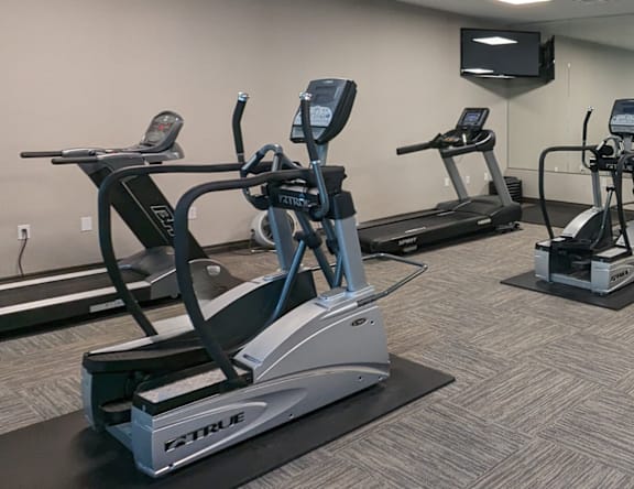A gym with treadmills and elliptical machines.