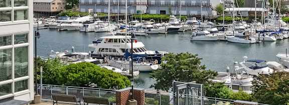 A view of a marina from a high-rise building.