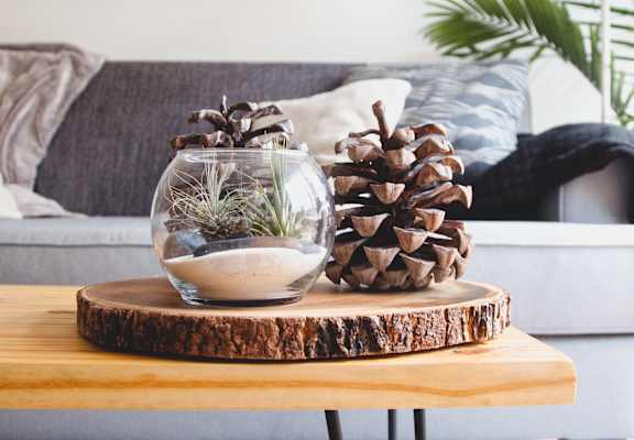 Model Living Room with Pine Cone Display on Coffee Table