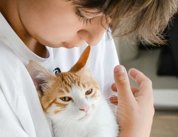 a young girl holding a cat in her arms