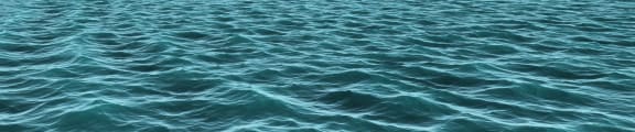 a large body of water with small waves