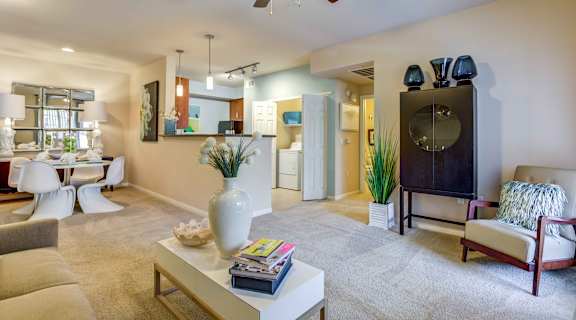 Contemporary and Loft Style Apartments