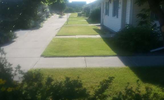 Image of property lawn and sidewalk