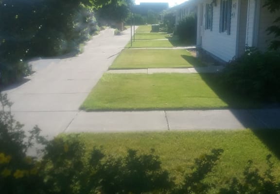 Image of property lawn and sidewalk