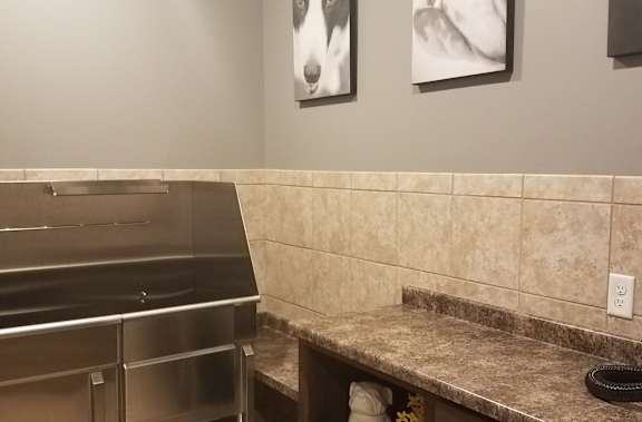 A kitchen with a stainless steel dishwasher and two framed pictures of dogs on the wall.