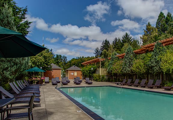 Swimming pool with green surrounding and patio at Commons at Sylvan Highlands Apartments, Portland