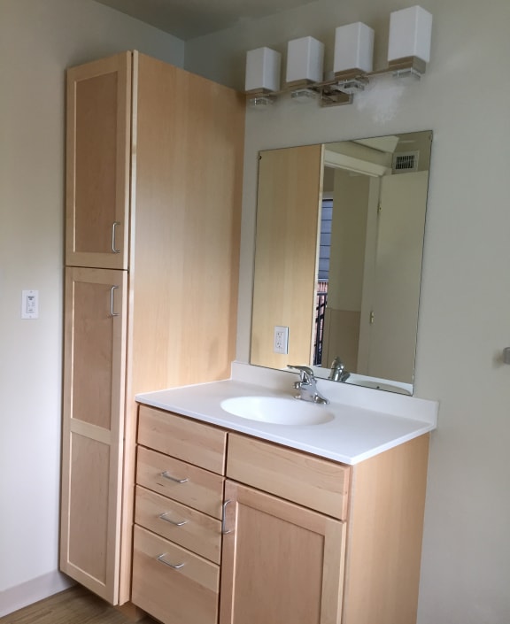 Image of sink, mirror and cabinet