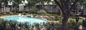 a pool with a tree in the foreground