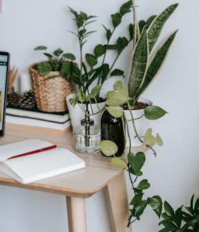 Apartment workspace with a desk, plant, notebook, and pen representing comfortable living at Willow Creek Apartments.