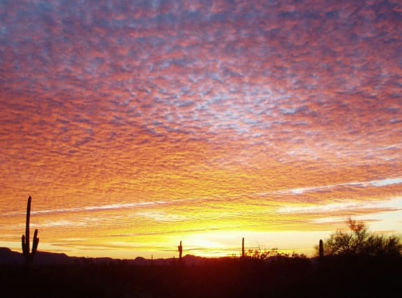 a sunset in the desert with clouds and a cactus