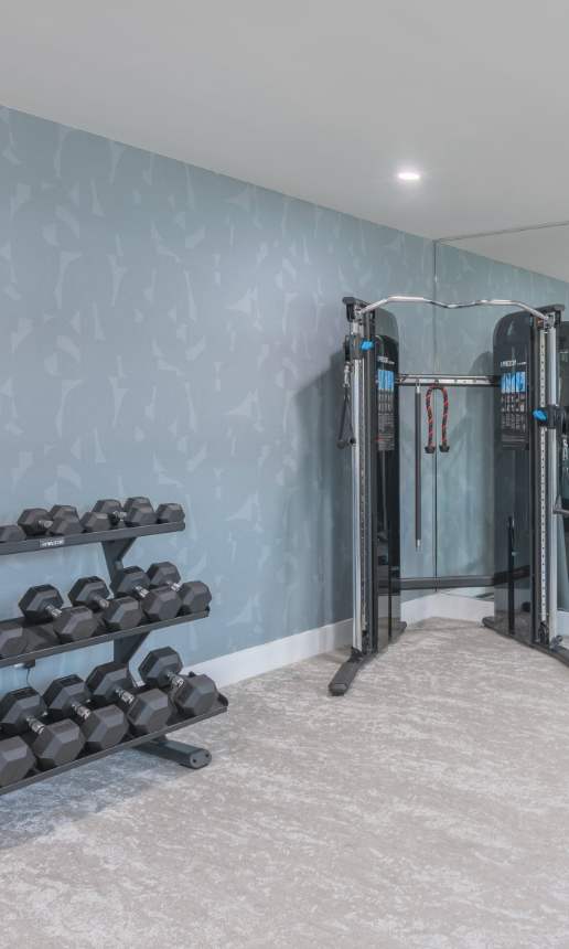 A well-equipped gym with a variety of exercise machines and weights.