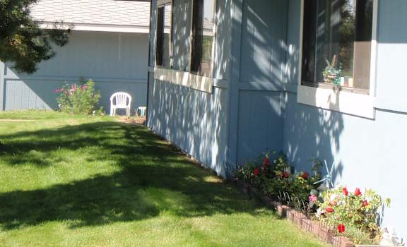 Image of lawn and side of building
