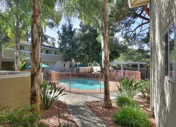 A pool surrounded by trees and plants.