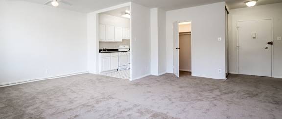 bright and spacious living area