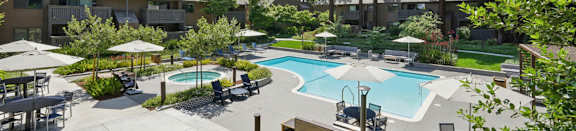 A pool surrounded by plants and trees with a building in the background.