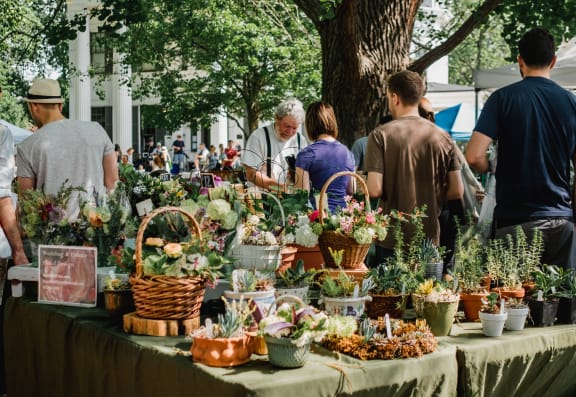 a group of people standing around a table full of plants