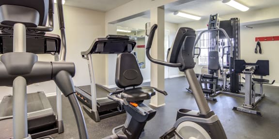 a home gym with weights and cardio equipment
