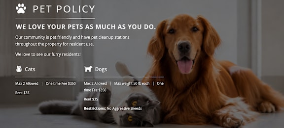 A dog and a cat are sitting next to each other.