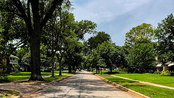 Four people walking together in a park.