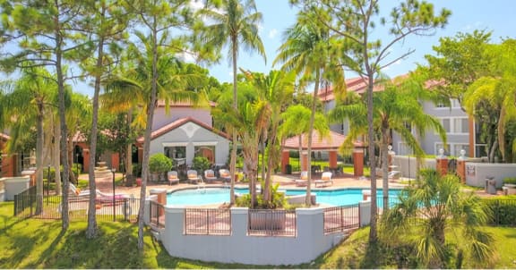 picture of tropical swimming pool surrounded by palm trees