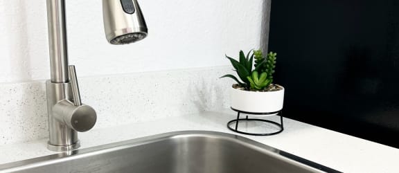 a kitchen sink with a faucet and a small plant on the counter