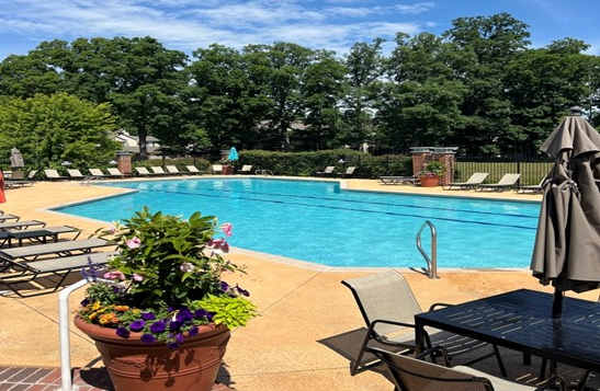 A pool surrounded by trees and chairs.