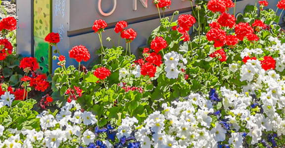 an apartment building with ao omni olympia sign in front of flowers