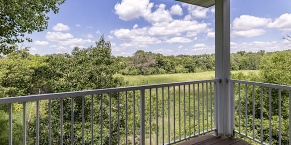 A balcony with a view of a green forest.