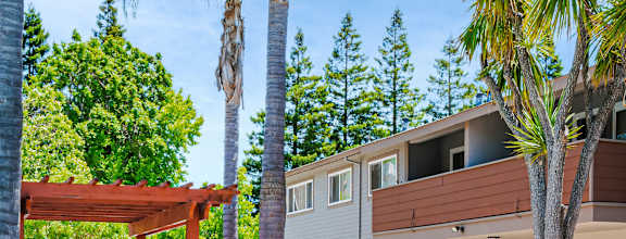 A large tree stands in front of a two-story apartment building.
