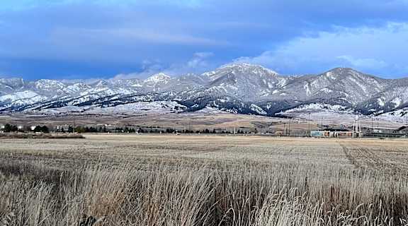 a wheat field with mountains in the background