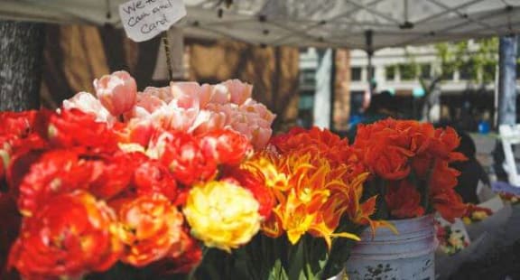 a bunch of colorful flowers in a market