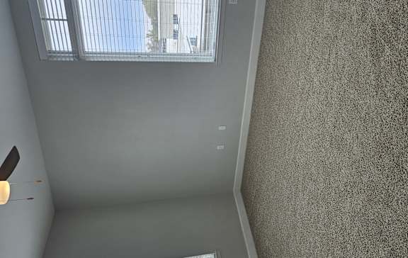 A room with a carpeted floor and a ceiling fan.