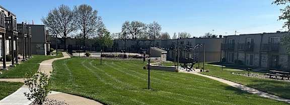 Landscaped grassy area with a tree and sidewalks at Park 25 Apartments.