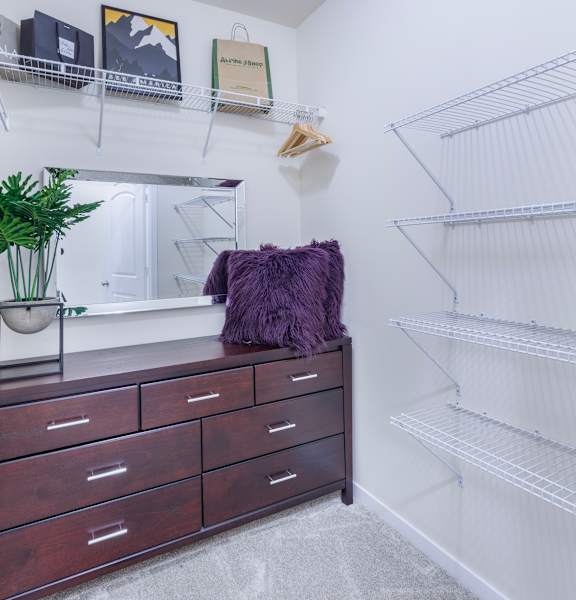 A white wall with a shelf and a plant on it.