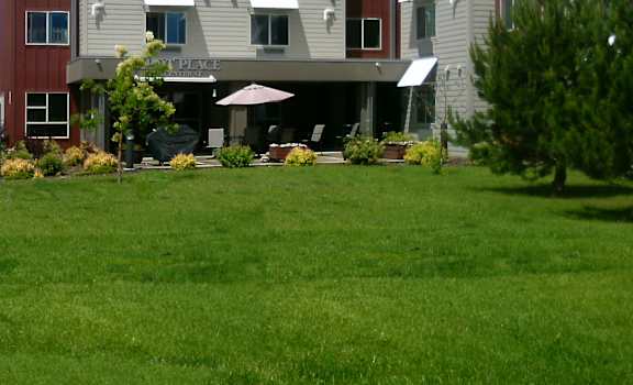 Image of exterior of building and lawn with small trees