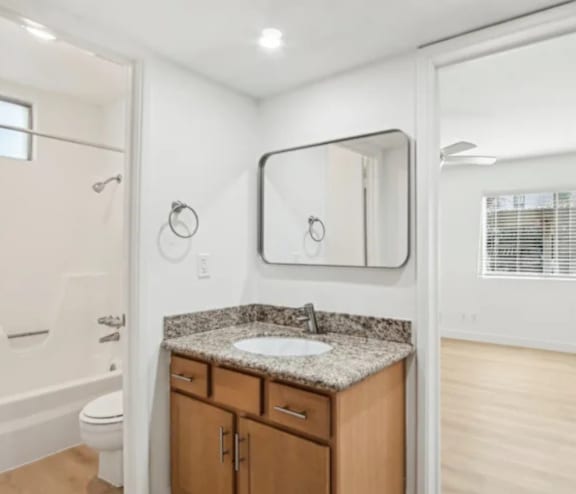 A bathroom with a granite countertop and a large mirror.