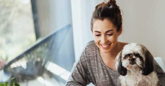 Woman Sitting at Desk Holding Dog and Working on Laptop
