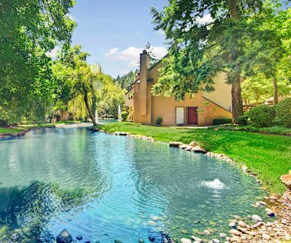 The bright, beautiful pond with fountains and rocks within, surrounded by trees on the banks and grass, with the yellow apartment buildings nearby at the Cove Apartment Homes. 